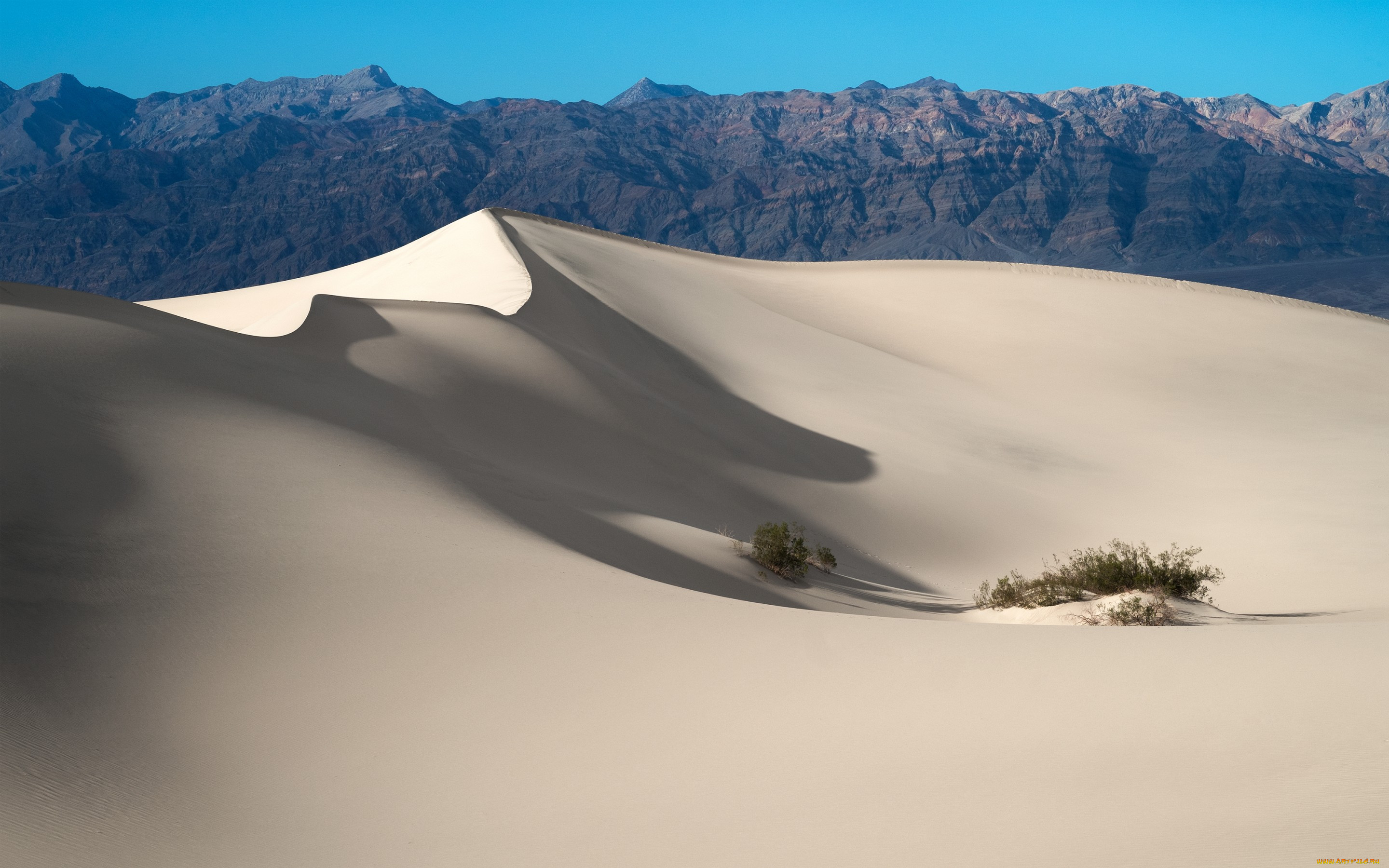 , , death, valley, national, park, , , usa, california, 